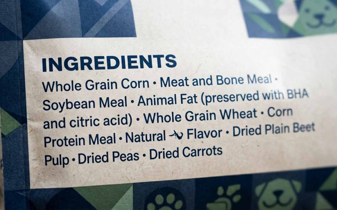 Understanding Dog Food Labels: A Complete Guide to Choosing Better Nutrition for Your Dog